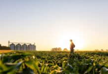 Greentech lança curso online para reduzir a emissão de carbono