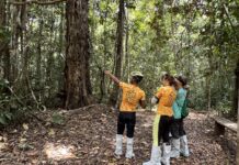 Programa Turismo + Sustentável abre inscrições para empreendimentos do extremo sul da Bahia
