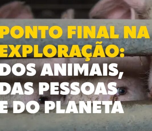 Brasil se une à campanha global ‘Ponto Final’ para mudar o futuro da alimentação do planeta