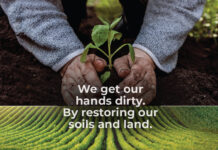 Tema do Dia Mundial do Meio Ambiente deste ano é “Restauração de terras, desertificação e resiliência à seca”.