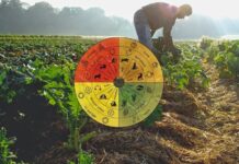 100 anos de agricultura biodinâmica