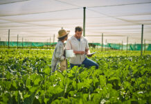 Agroecologia: iniciativas e benefícios para uma agricultura sustentável