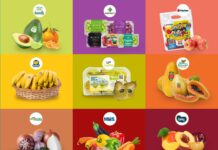 Grupo Vegetais Saudáveis lança campanha “Unindo forças para alimentar o futuro” no The Brazil Conference & Expo da IFPA