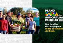 Plano Safra 24/25 apresenta linhas especiais de crédito para alimentos básicos e orgânicos