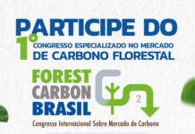 Forest Carbon Brasil pauta a relevância deste mercado no país