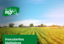 Mercado de bioinsumos cresce e deve chegar em R$ 6 bilhões