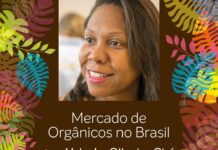 O Mercado de Orgânicos no Brasil