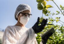 Transformando a agricultura: como a biotecnologia está melhorando a produtividade e sustentabilidade