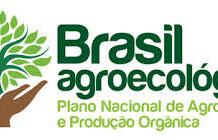 Entidades divulgam carta aberta ao presidente Lula contra adiamento do Planapo