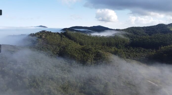 clound forest