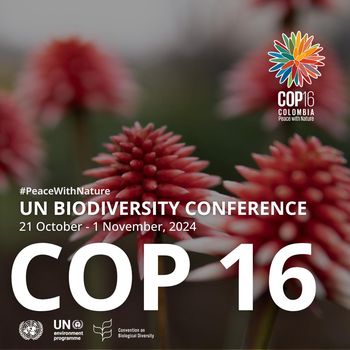 COP16: Saiba mais sobre a Conferência das Nações Unidas sobre Biodiversidade