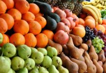 Desperdício de alimentos tem alto custo social e ambiental