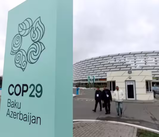 Agenda do Brasil na COP29