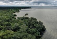 ACNUR impulsiona soluções sustentáveis