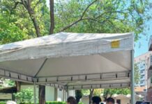 Feira Agroecológica ECCCo acontece em S.Paulo