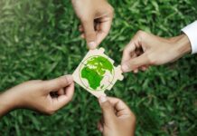 4 práticas sustentáveis para iniciar o ano de 2025 com o pé direito