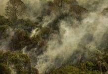 Brasil reforça combate ao desmatamento e ação climática