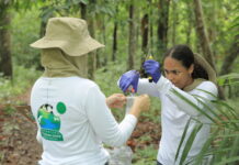 AgBiotech paulista usa biodiversidade da Amazônia e Fernando de Noronha para criar bioinsumos