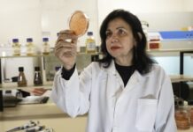 Cientista brasileira ganha o Prêmio Mundial da Alimentação de 2025