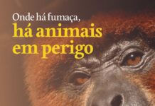 Entidades promovem lançamento oficial da Campanha de Prevenção a Incêndios Florestais