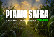 Governo Federal lança Plano Safra 2025/2026 com R$ 516,2 bilhões para impulsionar o agro brasileiro