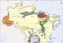 Mudanças climáticas podem reduzir drasticamente a recarga de aquíferos no Brasil