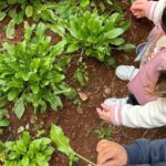 Alimentacao-organica-nos-CEIs-da-DRE-Ipiranga