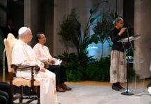 Papa: “É preciso passar dos discursos ambientalistas a uma conversão ecológica”