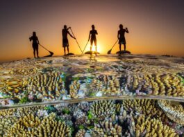Países aceleram planos nacionais para travar perda de biodiversidade até 2030