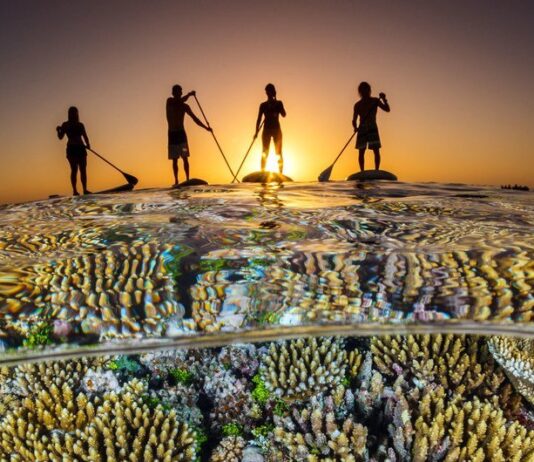 Países aceleram planos nacionais para travar perda de biodiversidade até 2030